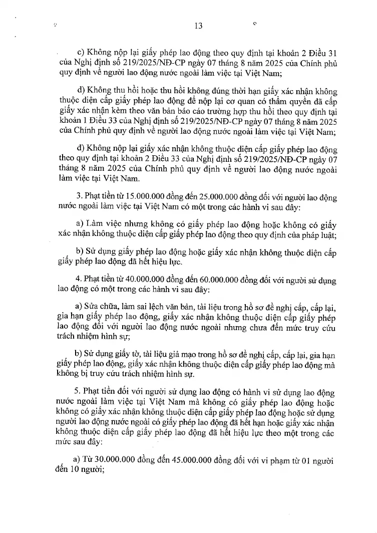 Printed page of the decree on labour fines with numbered paragraphs of fines for foreign workers
