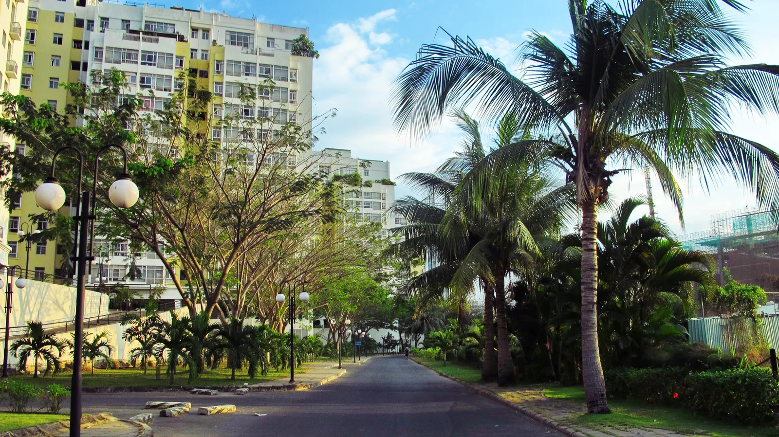 Quiet tree-lined internal road with palm trees and mid-rise apartment blocks in a gated residential area