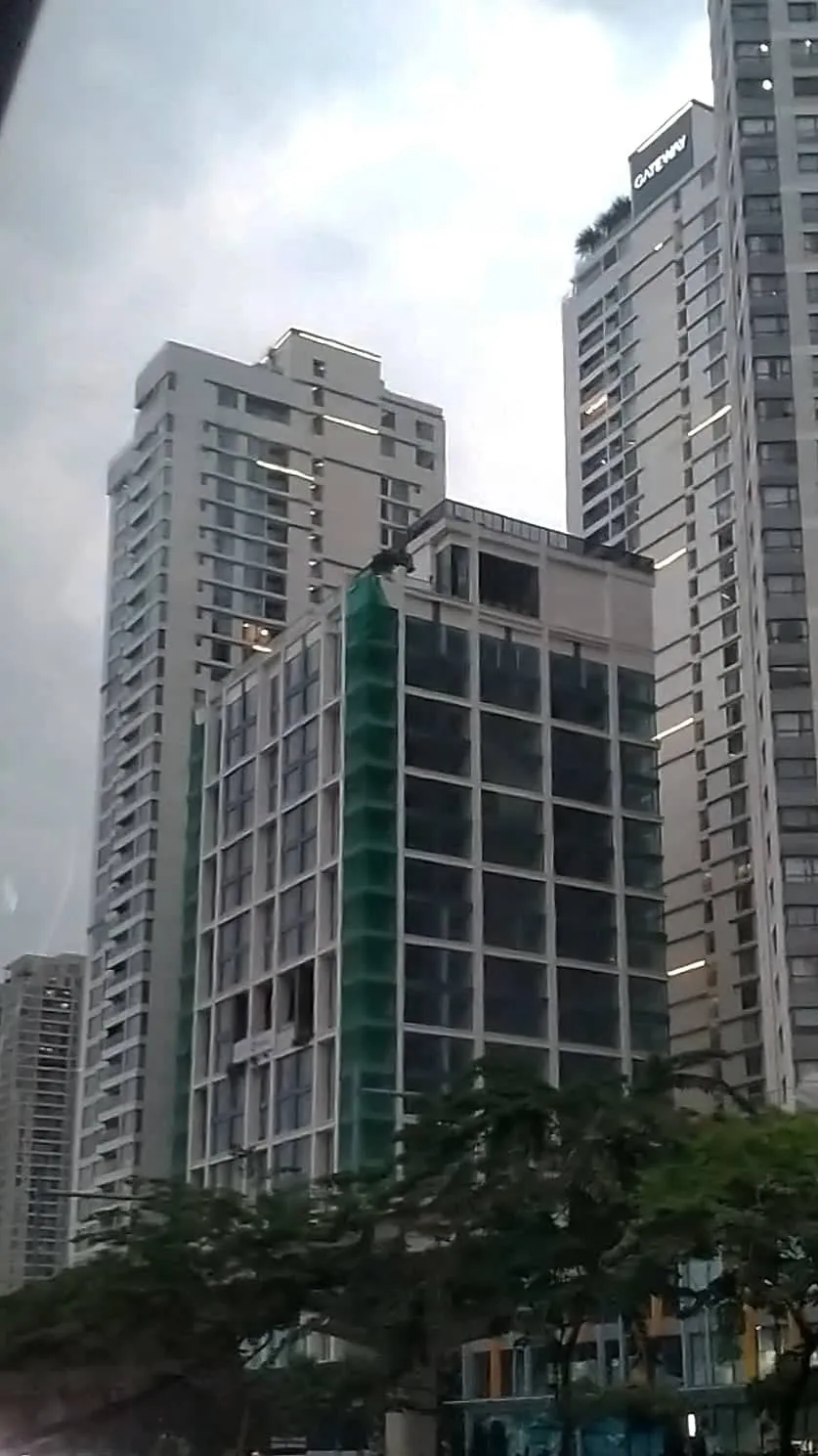 Apartment towers rising above a tree-lined street seen from street level