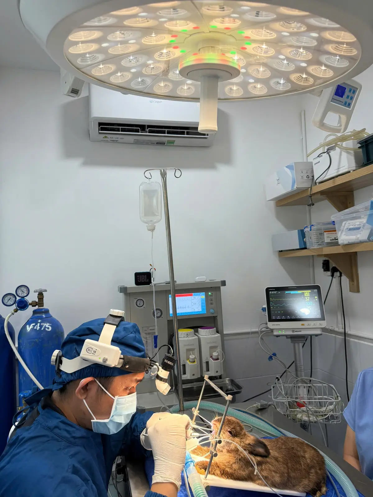 Treatment room with an anaesthesia machine, a drip stand and a patient monitor